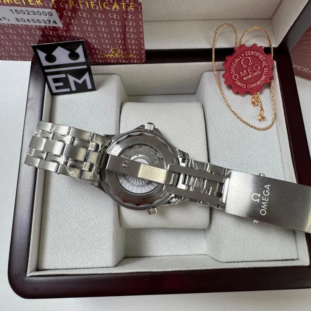 Omega Seamaster Professional – Gray/Blue